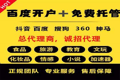 竞价广告的深度解析：以一知名品牌为例